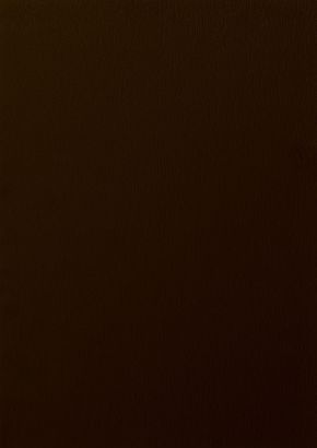 RENOLIT EXOFOL PX SCHOKOBRAUN 8875 